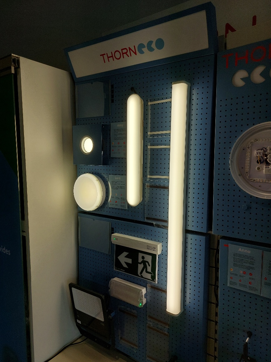 Thorneco branded blue metal pegboard display panel mounted with LED light fittings, emergency exit sign and a floodlight